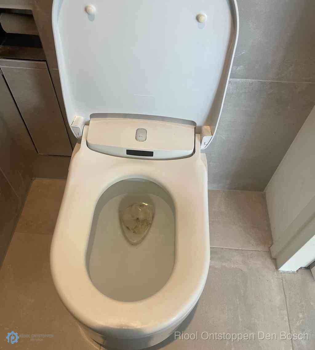 Toilet Ontstoppen Den Bosch Toilet Ontstoppen Den Bosch